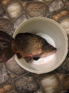 IMG_7024.JPG