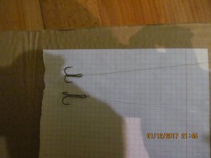 IMG_4478.JPG