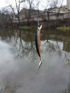 20171202_125856.jpg