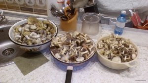 IMG_20171202_192837.jpg