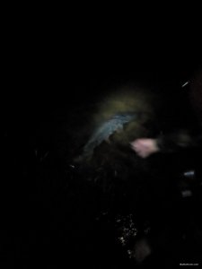 IMG_20171203_173623.jpg