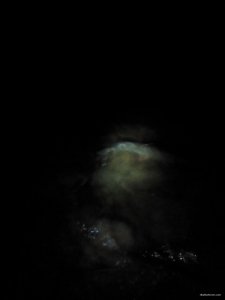 IMG_20171203_173627.jpg