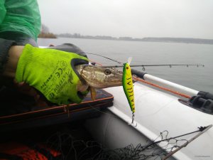 IMG_20171203_100127.jpg