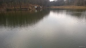 WP_20171204_002[1].jpg