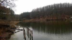 WP_20171204_003[1].jpg