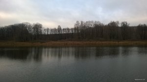 WP_20171204_007[1].jpg