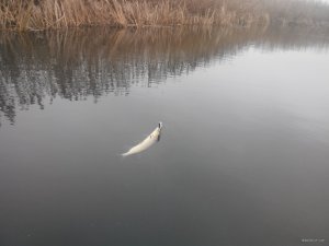 20171204110209.jpg