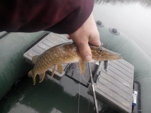 20171204110244.jpg