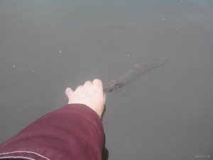 20171204110259.jpg