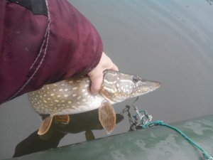 20171204110654.jpg
