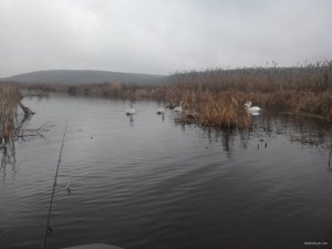 20171204113824.jpg