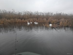 20171204113918.jpg