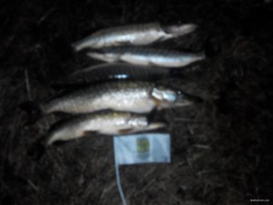 20171204155751.jpg