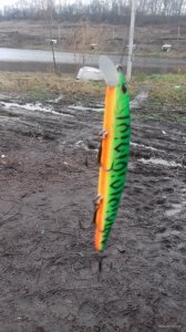 20171205_143540.jpg