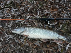 20171205_103457.jpg