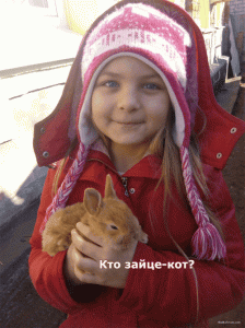 profi2.gif