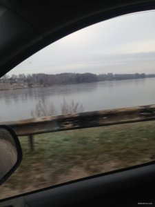 image.jpeg
