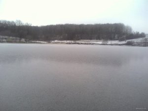 IMG_20171208_095356.jpg