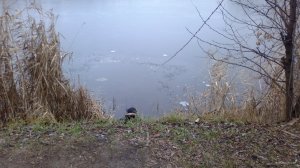 2017-12-08-621.jpg