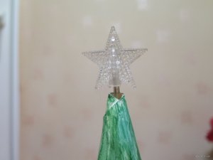 IMG_8045.JPG