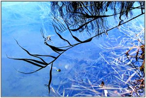 IMG_7744a.JPG