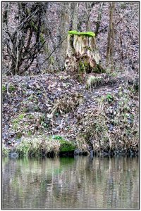 IMG_7740a.JPG
