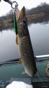 20171208_105659.jpg