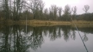 WP_20171209_10_09_01_Pro.jpg