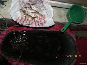 IMG_4596.JPG