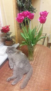 20171213_181741.jpg