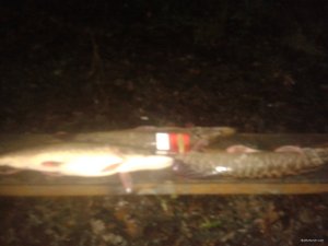 20171215_175533.jpg