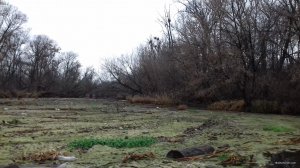20171215_143035.jpg