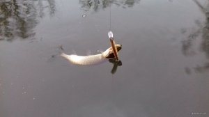 20171215_152315.jpg