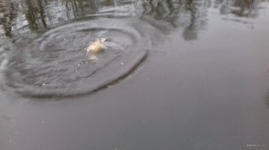20171215_152311.jpg