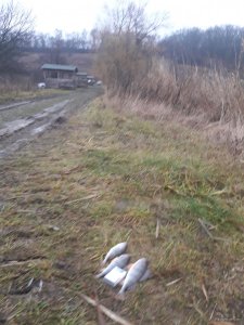 20171216_144327.jpg