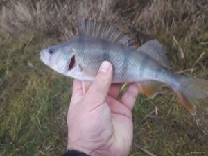 20171216_144350.jpg