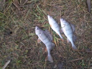 20171216_144356.jpg
