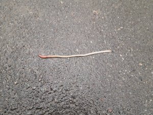 20171217_095328.jpg