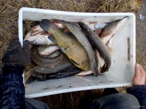 IMG_20171218_134028.jpg