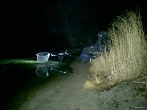 WP_20171216_05_30_25_Pro.jpg