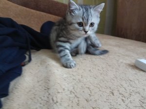 IMG_20171221_112846.jpg