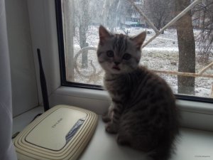IMG_20171221_112923.jpg