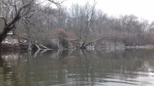 20171222_124654.jpg