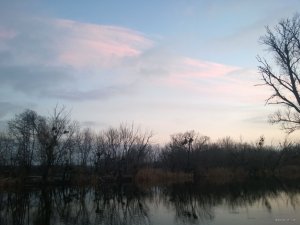 WP_20171223_15_39_19_Pro.jpg