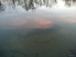 WP_20171223_15_39_54_Pro.jpg