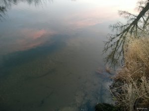 WP_20171223_15_40_18_Pro.jpg
