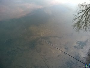 WP_20171223_15_40_55_Pro.jpg