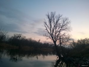 WP_20171223_15_50_09_Pro.jpg