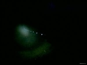 WP_20171223_16_28_59_Pro.jpg