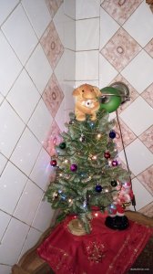 IMG_20171226_160750.jpg